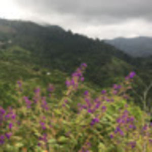 Meet your Posher, Mary